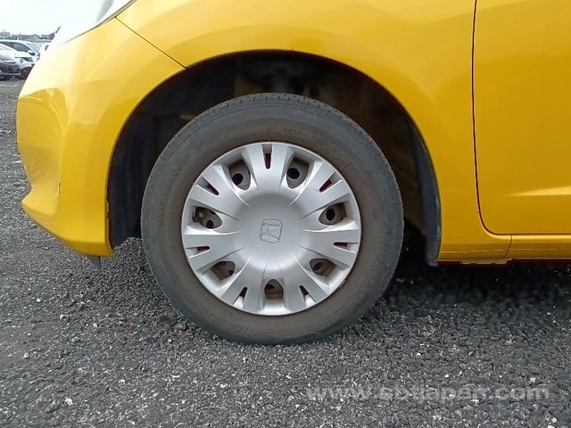 41.jpg