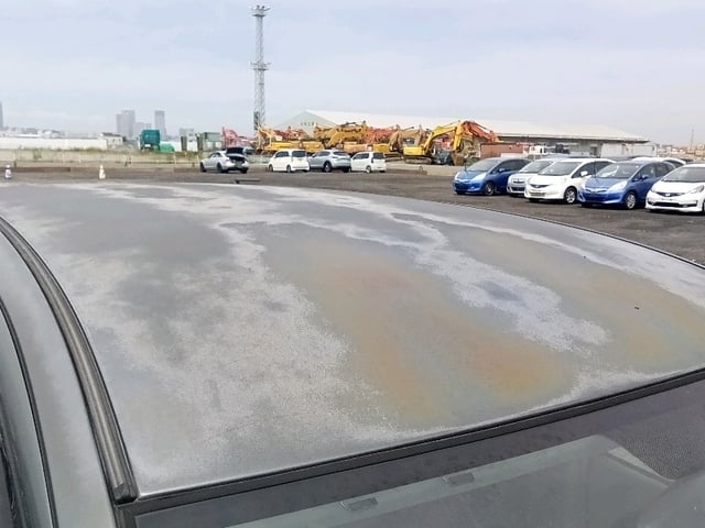 284.jpg
