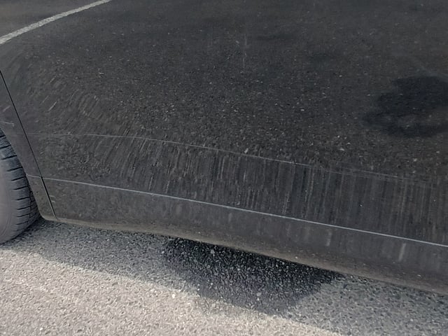 283.jpg