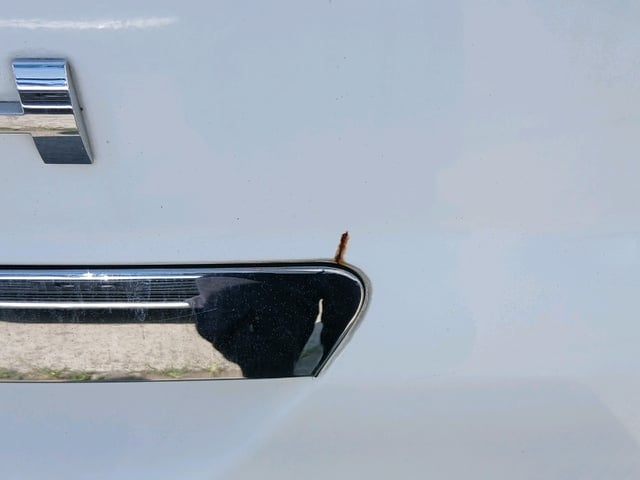 288.jpg