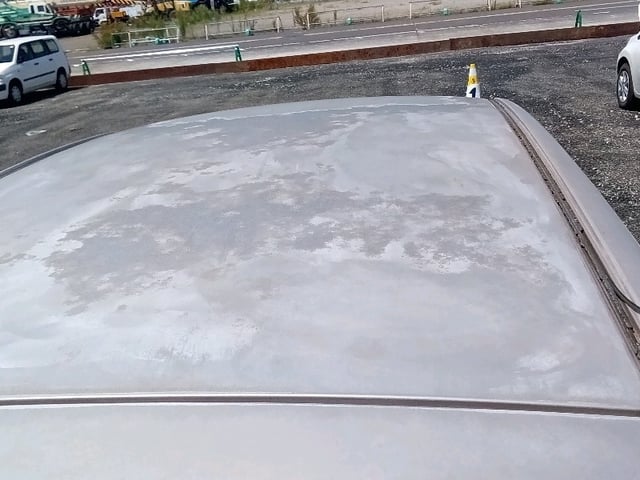 282.jpg