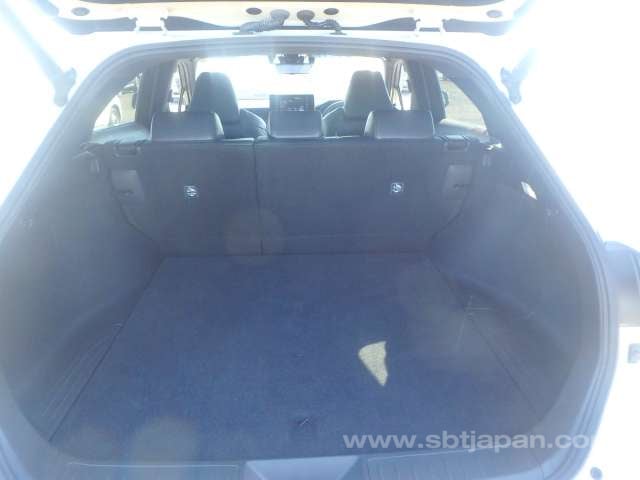 40.jpg