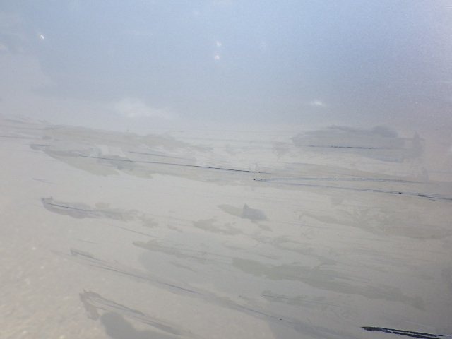 292.jpg