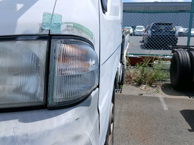 286.jpg