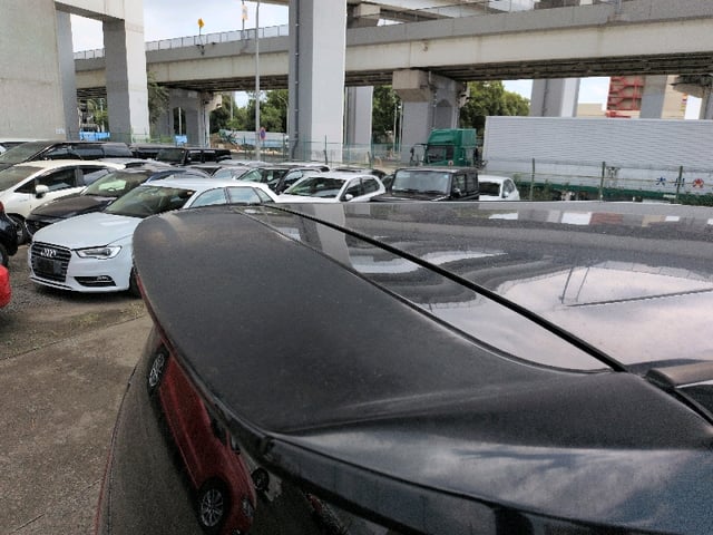 283.jpg