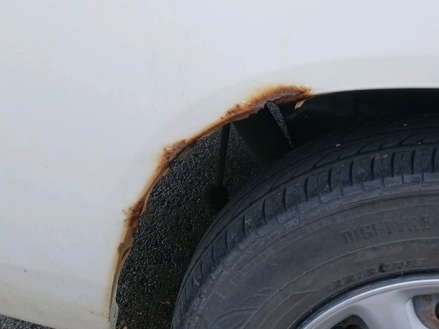 282.jpg