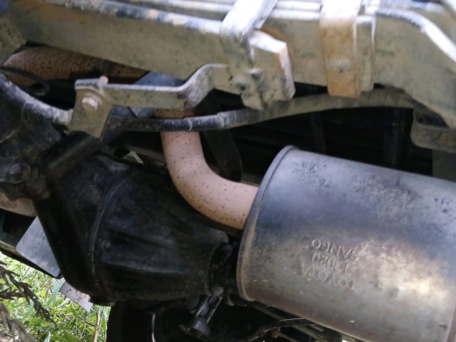 290.jpg