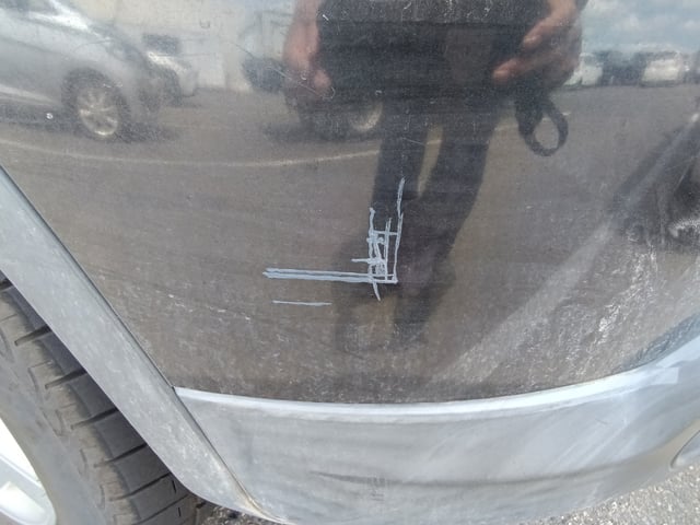 281.jpg