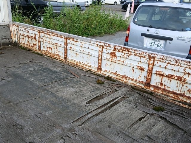 291.jpg