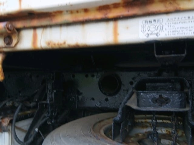 295.jpg