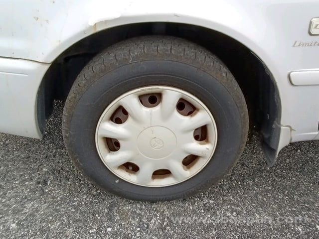 41.jpg