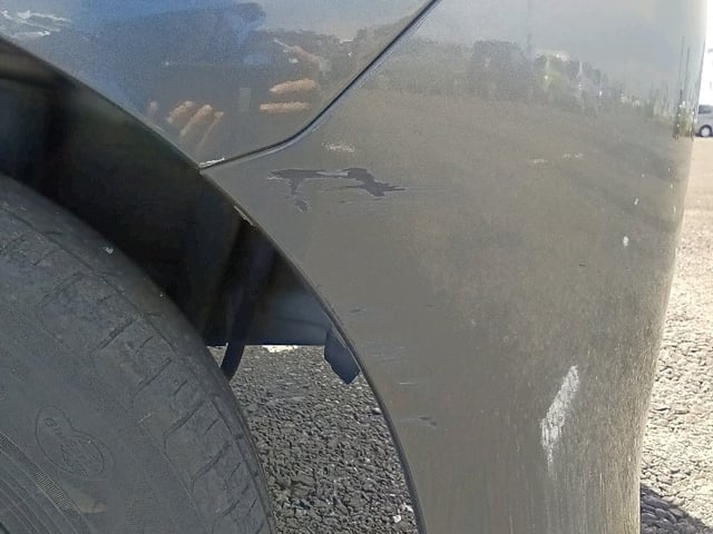 280.jpg