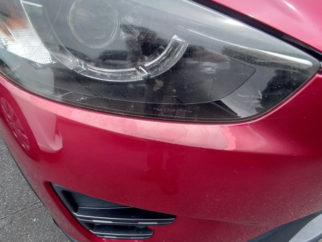 280.jpg