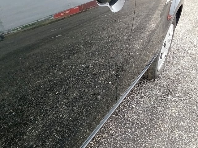 283.jpg