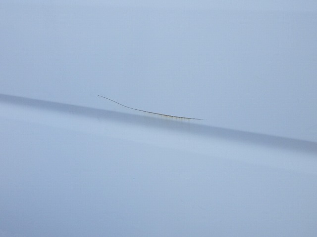 284.jpg
