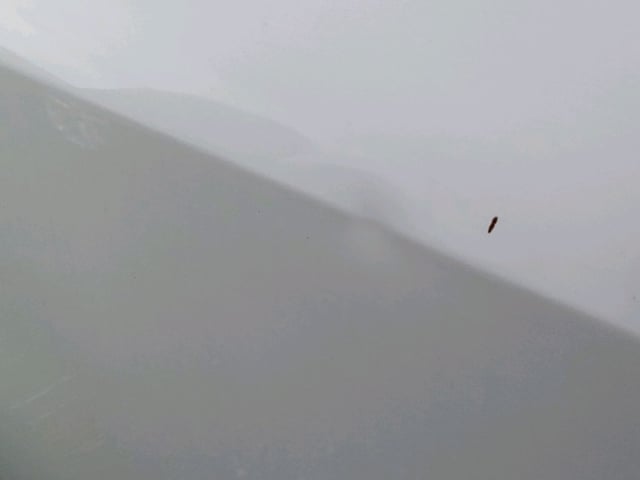 282.jpg