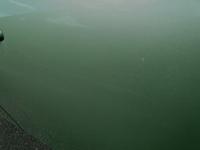 293.jpg