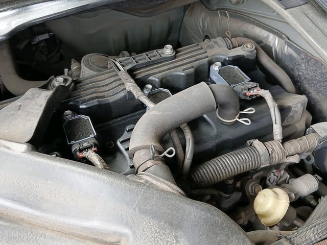 299.jpg