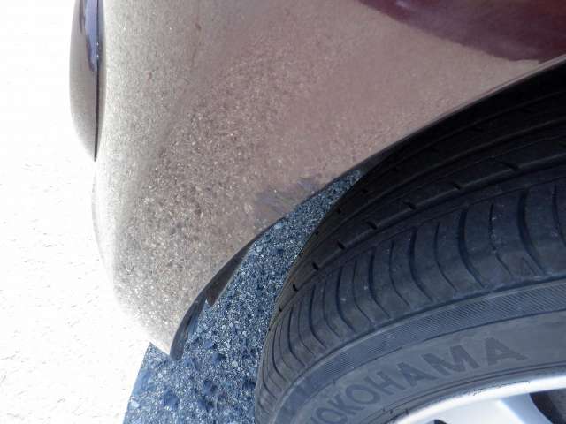 282.jpg