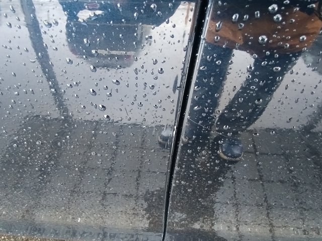 294.jpg