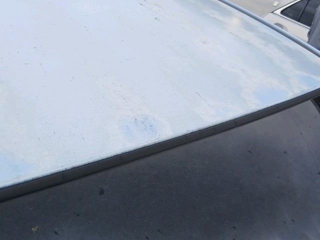 280.jpg