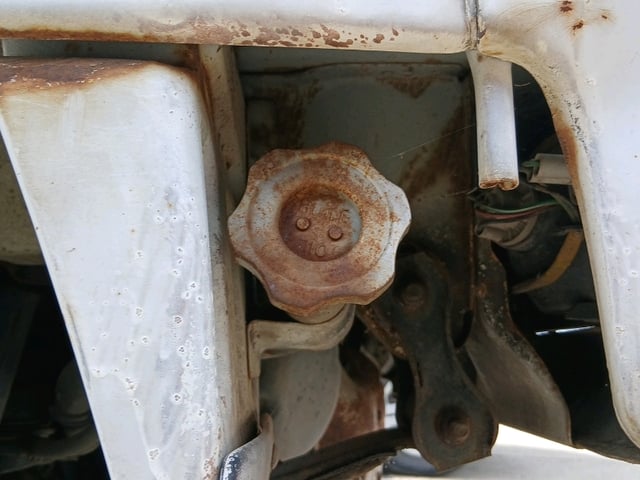 296.jpg