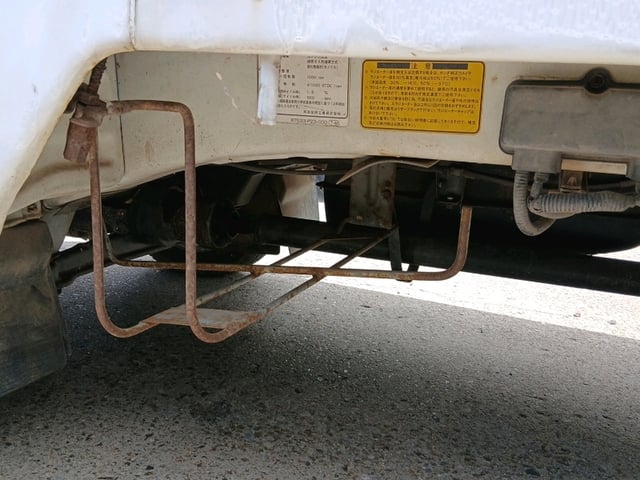 299.jpg