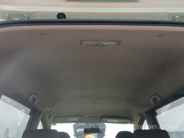 41.jpg