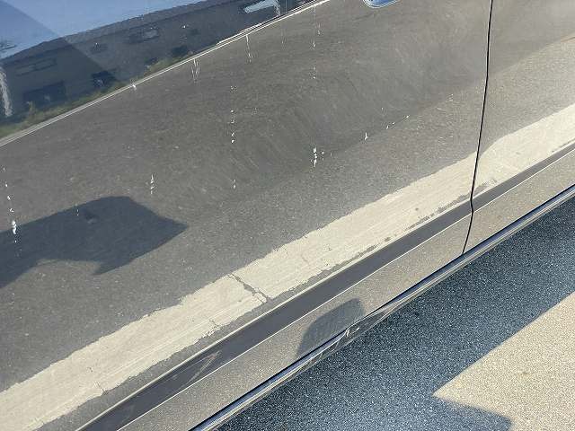 282.jpg