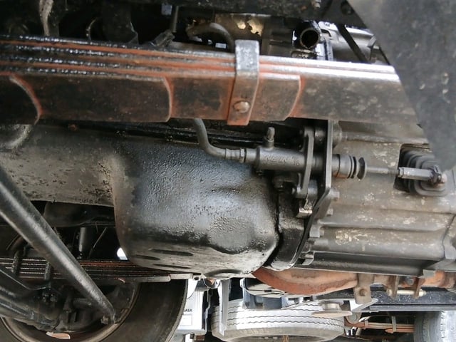 286.jpg