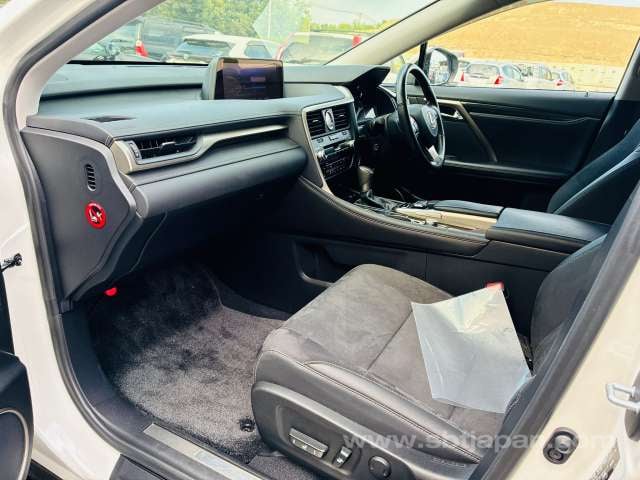36.jpg