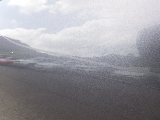 289.jpg