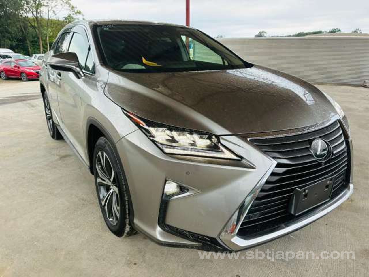 2019 Lexus Rx, photo 1 of 1