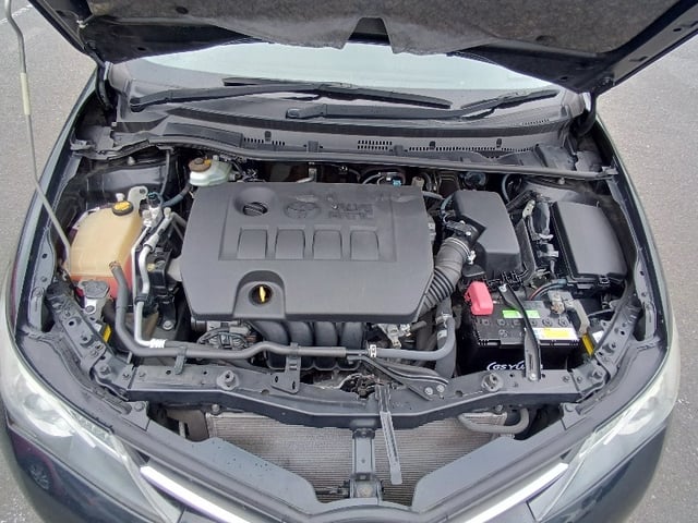 286.jpg