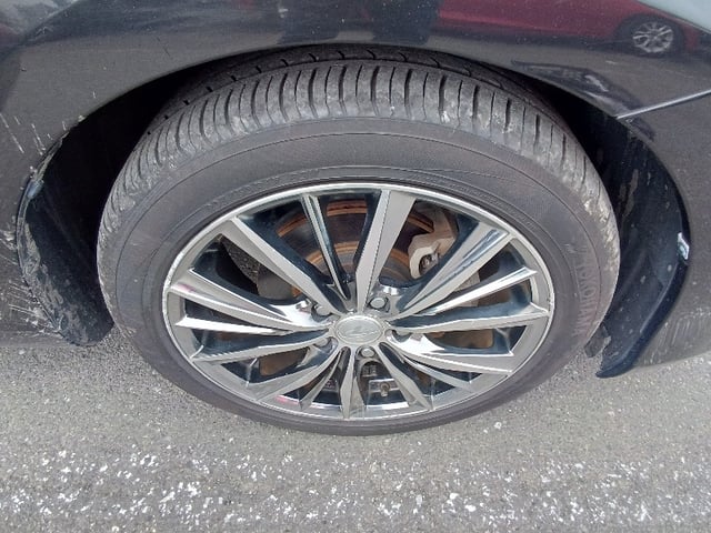 299.jpg