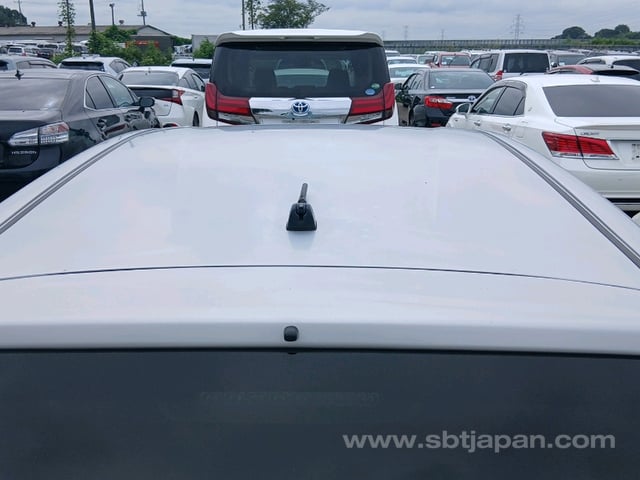 38.jpg