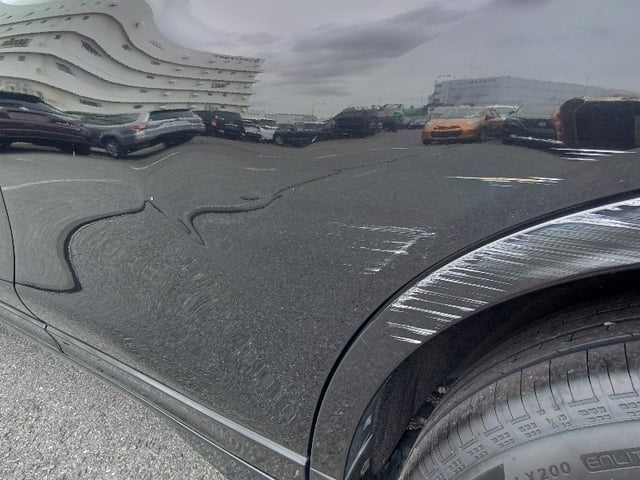 281.jpg