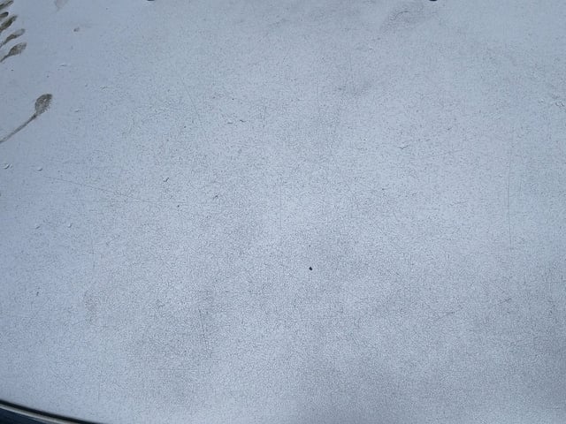 280.jpg