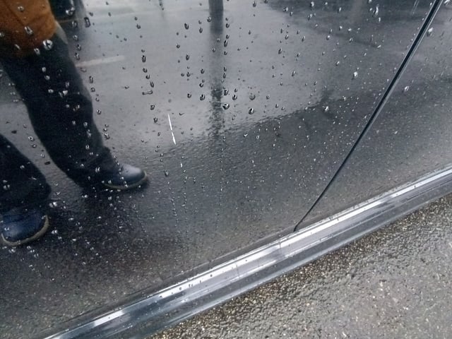 286.jpg