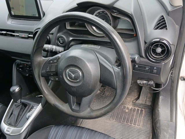 290.jpg