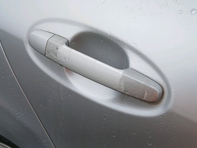 287.jpg