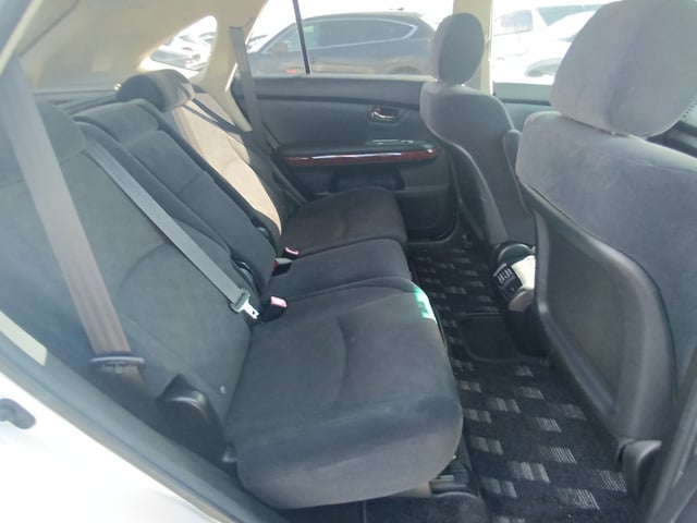 290.jpg