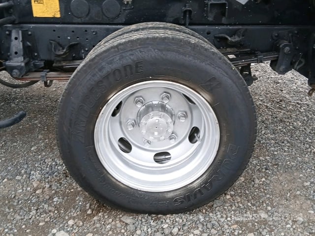 53.jpg