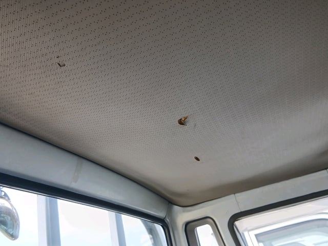 283.jpg
