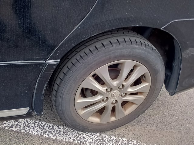 281.jpg