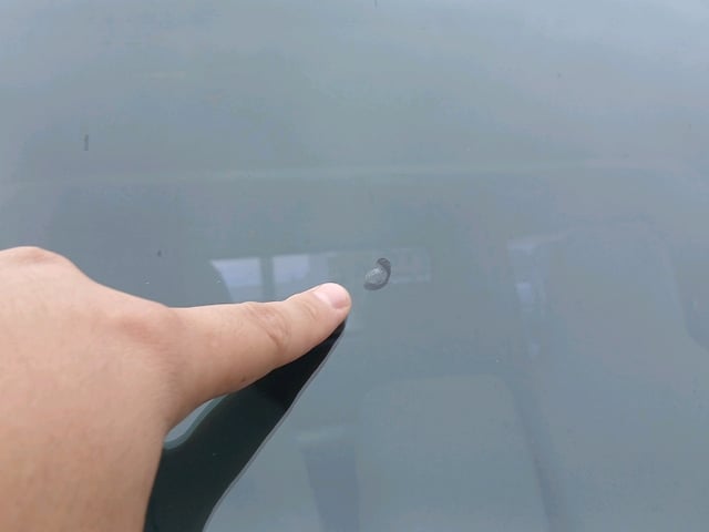 296.jpg