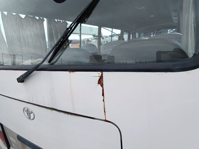 306.jpg