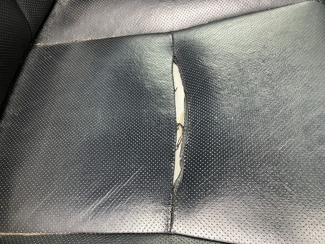281.jpg