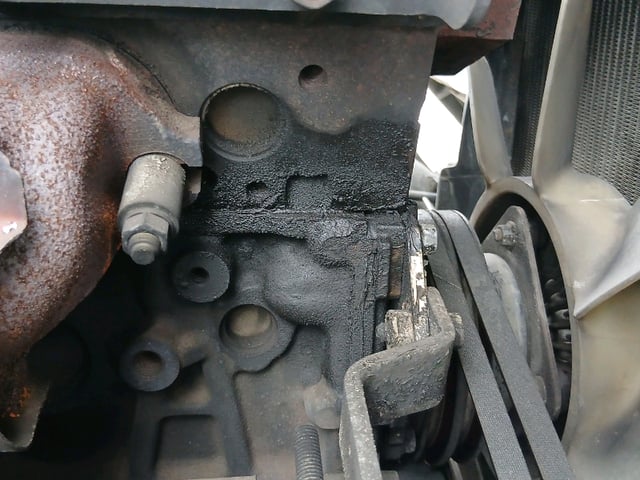 291.jpg