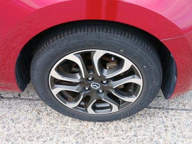 39.jpg